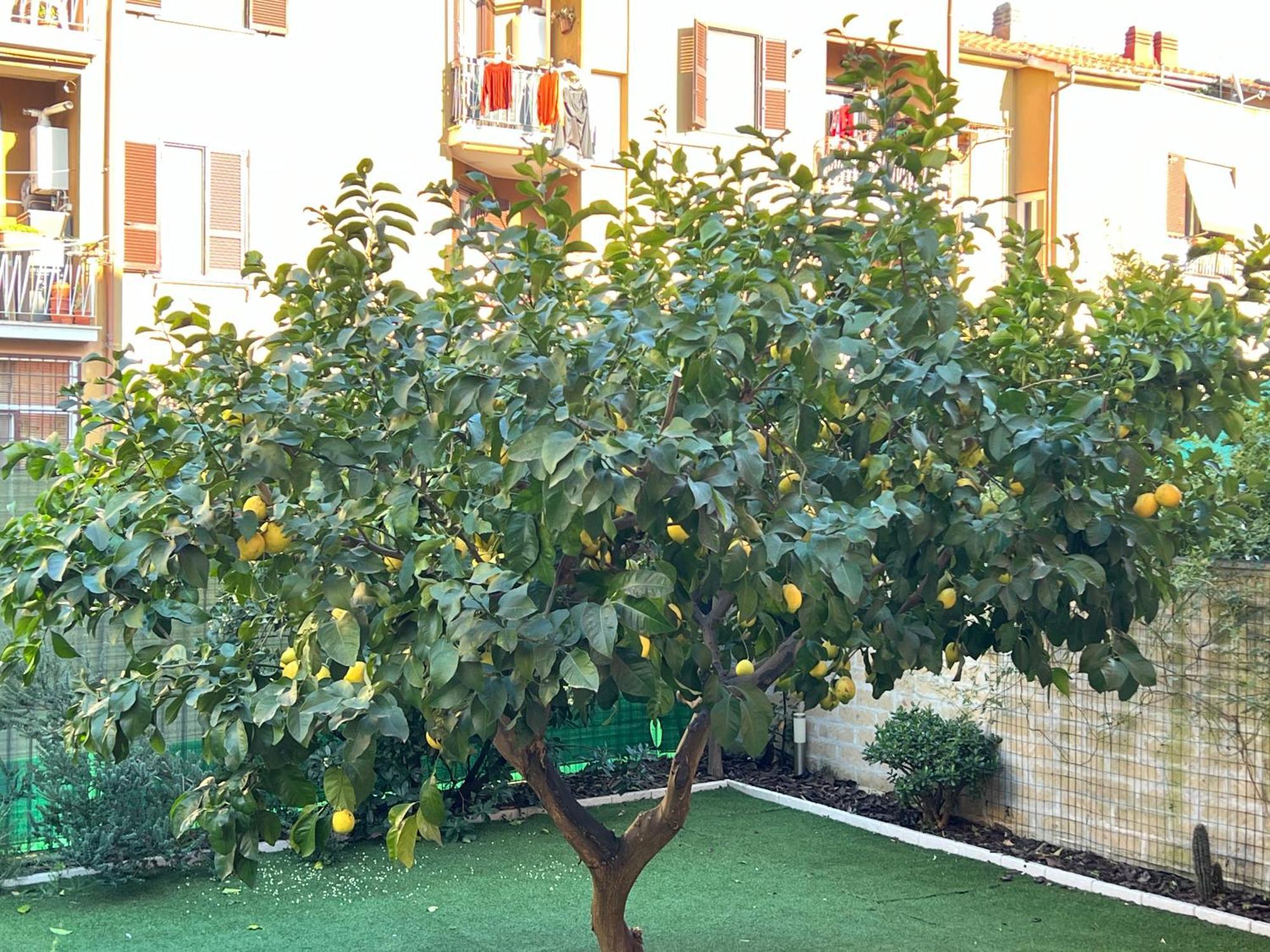 Casa Paestum. Your Wonderful Garden In Rome Luaran gambar